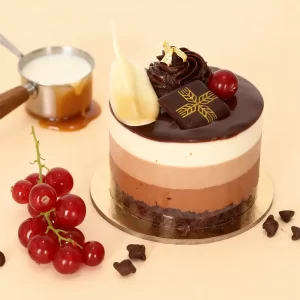 triple-chocolate-mousse-mini